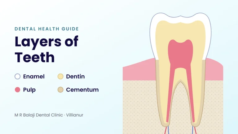 Layers of teeth illustration: cross-section of a tooth showing enamel, dentin, pulp and cementum